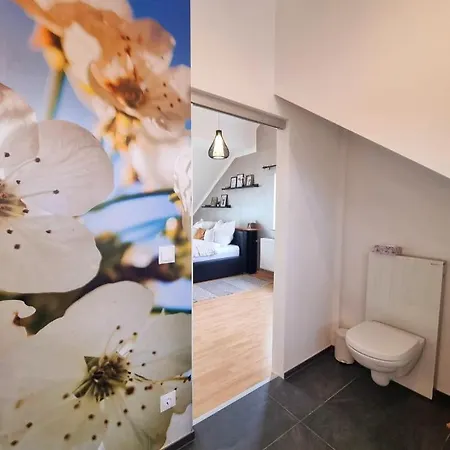 Hotell Im Luftkurort 3*